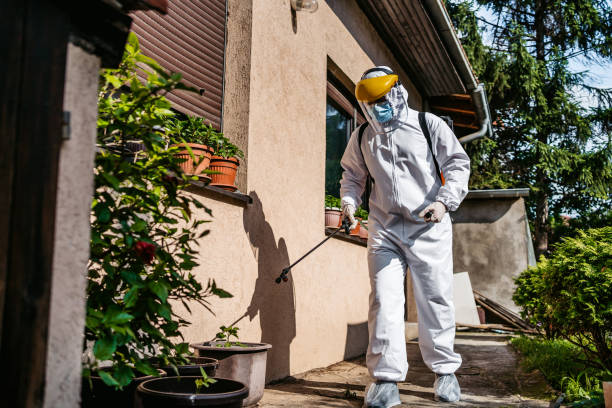 Best Wasp Removal Services  in Edwardsville, PA