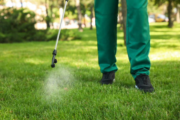 Best Pest Removal Services  in Edwardsville, PA