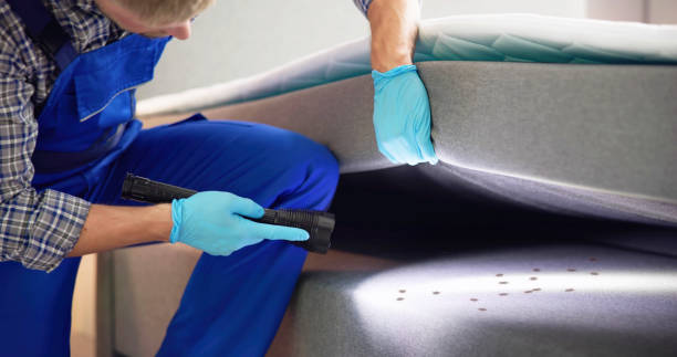 Best Mosquito Control Services  in Edwardsville, PA