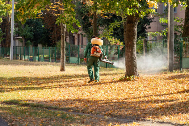 Best Emergency Pest Control  in Edwardsville, PA