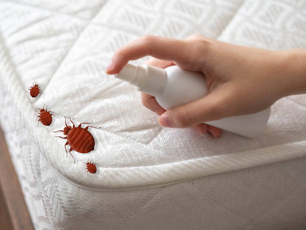Best Flea Control Services  in Edwardsville, PA