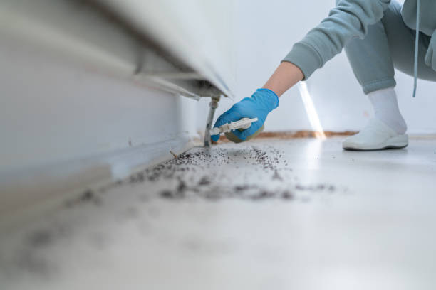 Pest Prevention Services in Edwardsville, PA