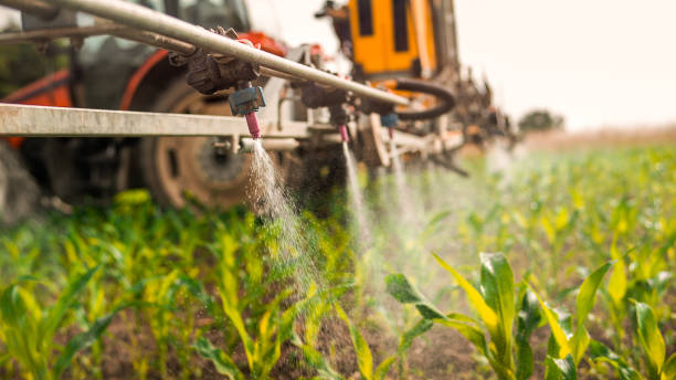 Best Pest Control Treatment  in Edwardsville, PA